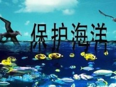 中华人民共以及国海洋环保法施行细则最新全文【修正】