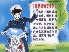 最新道路交通安全法施行细则全文【2020修订版本】