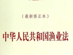 中华人民共以及国渔业法最新版【2020修正】