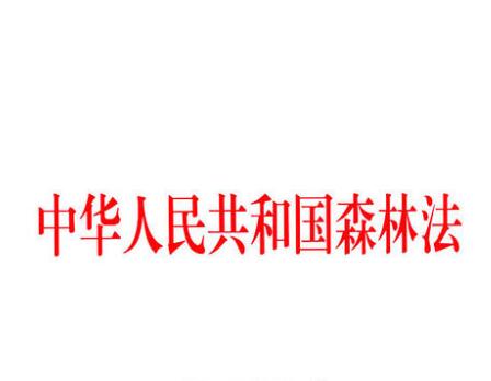 中华人民共和国森林法2021全文【修订】