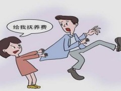 中华人民共以及国预防未成年人犯法法释义：第二十二条的内容、宗旨及释义