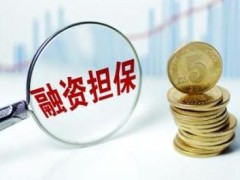 2021融资担保公司监督管理条例细则全文