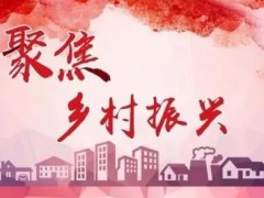 中华人民共以及国乡村振兴增进法2022最新版