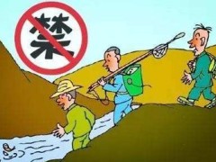 2022中华人民共以及国渔业法最新修正