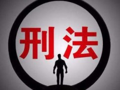 2022年最新中华人民共以及国刑法修正案(八)