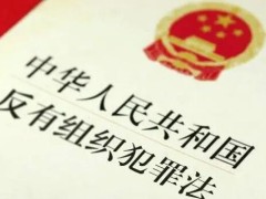 中华人民共以及国反有组织犯法法全文