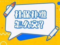 社保断缴怎样补缴啊