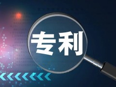 可专利性检索一般步骤（专利检索还有哪些种类）