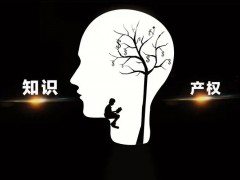 共同创作的作品归属是谁（其著作权行使应该遵循的原则）